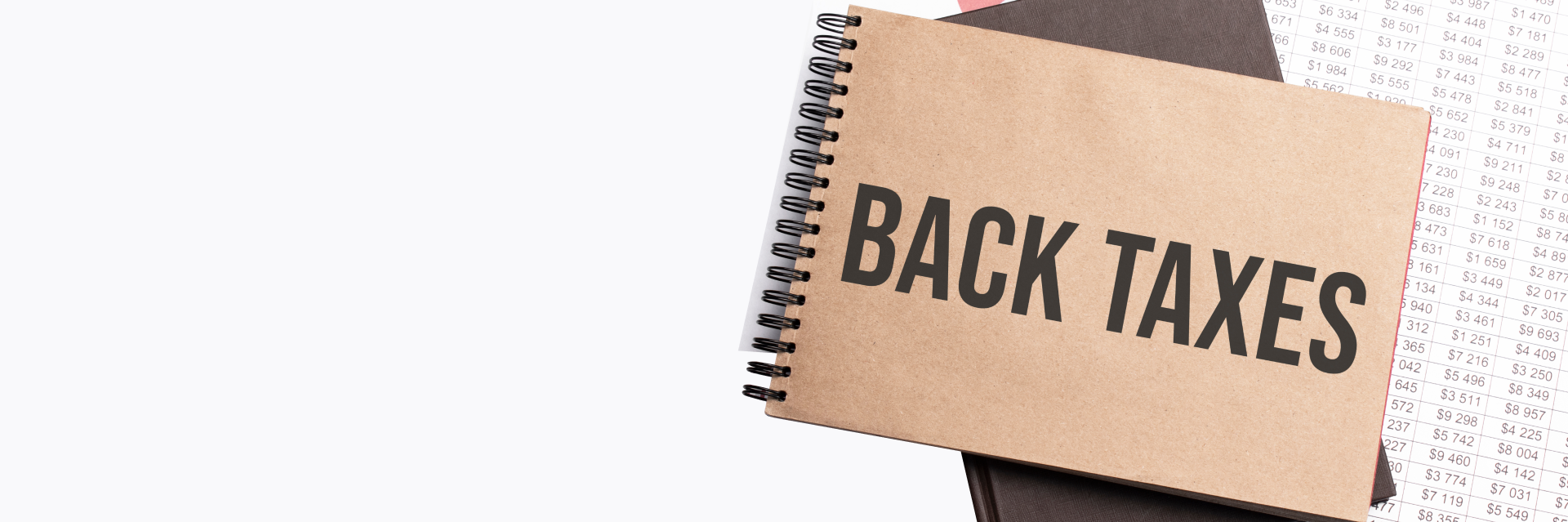 Back Taxes Assistance