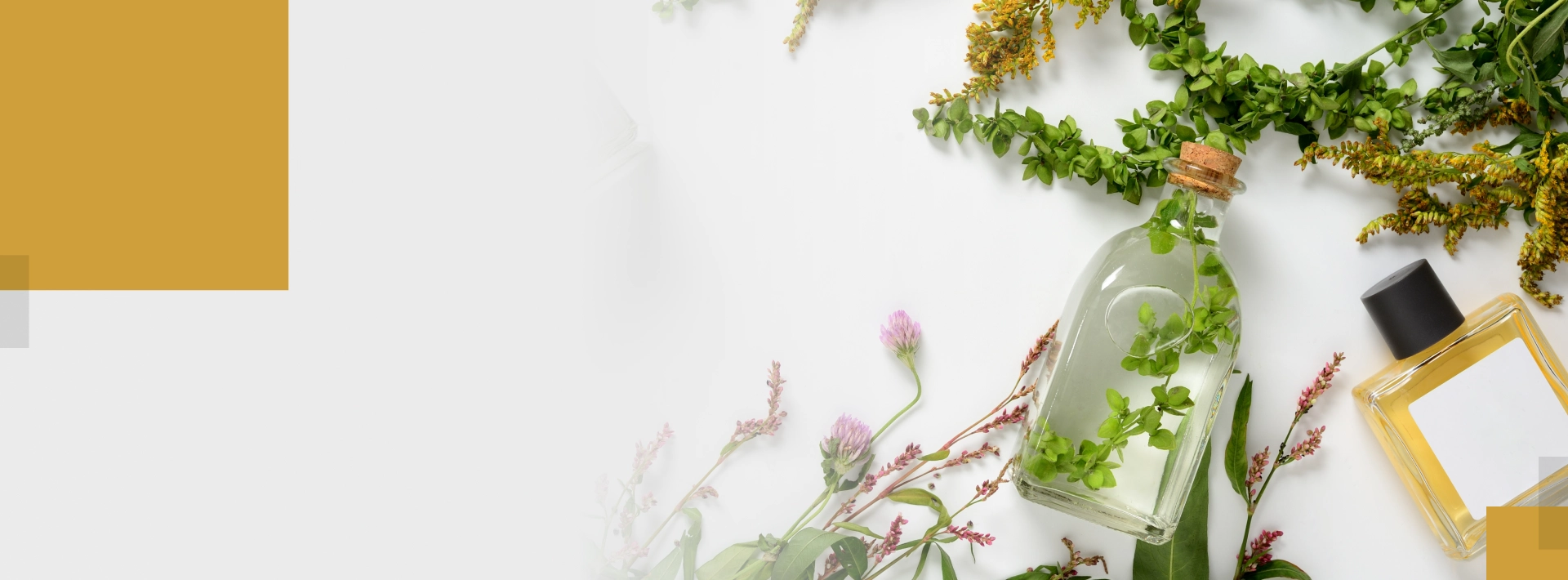 Buy Herbs Online
