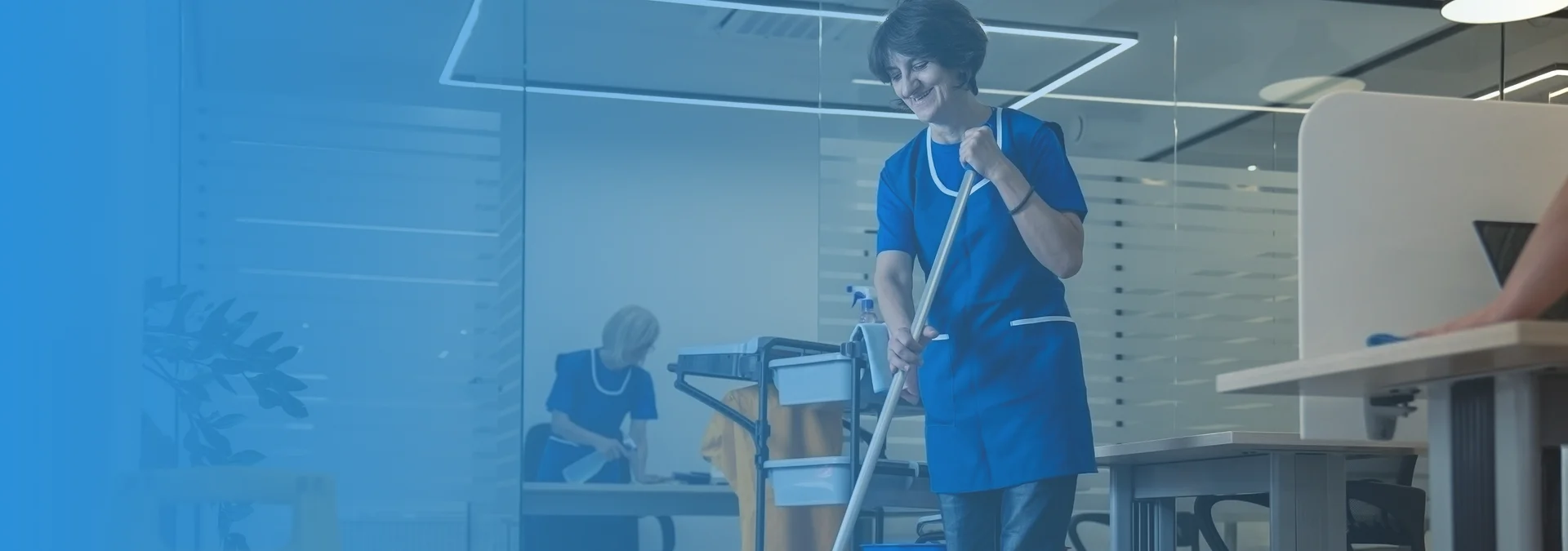 Professional Janitorial Services
