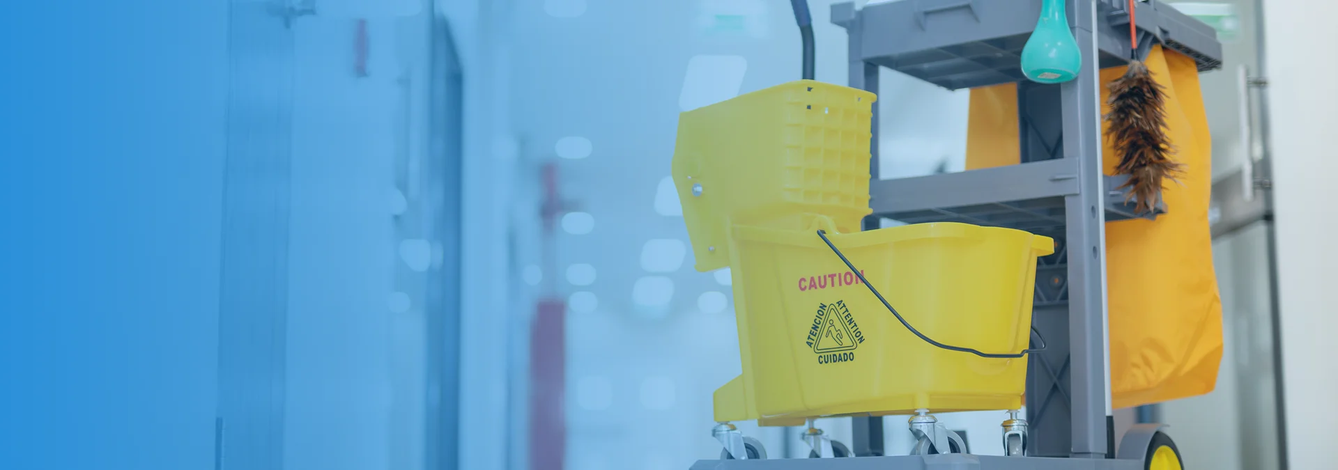 Professional Janitorial Services