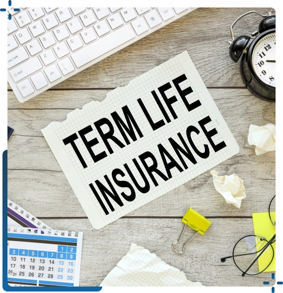 Term Life Insurance Plans