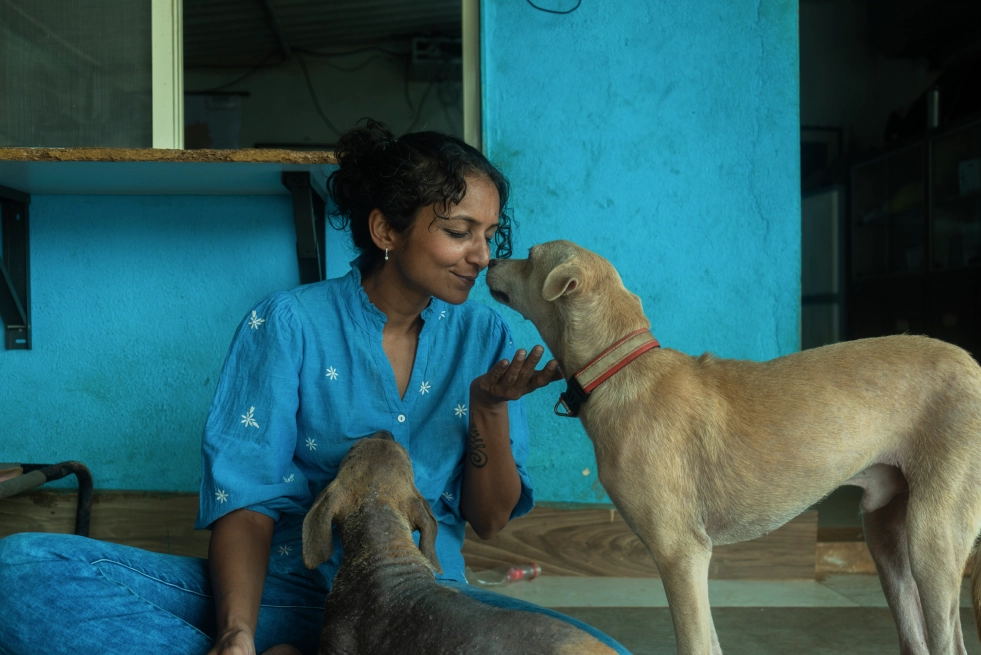 Alpha Angels Animal Trust