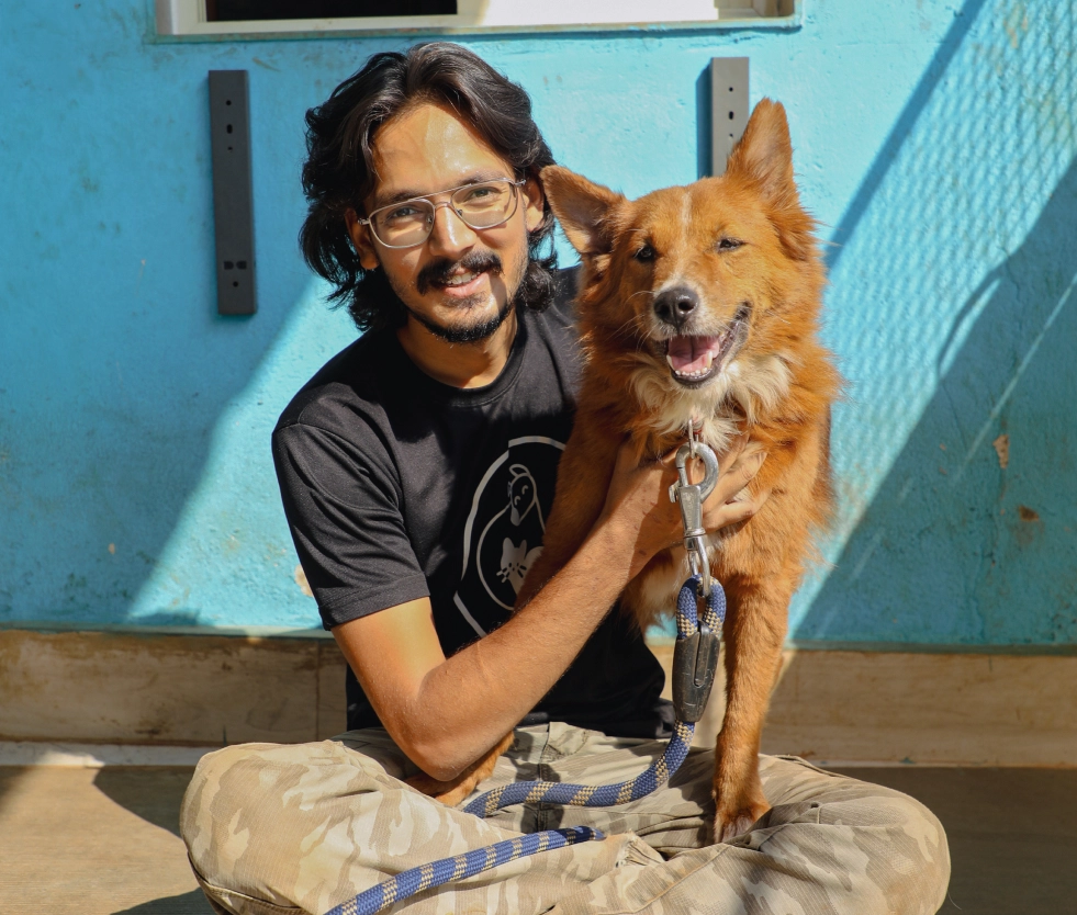 Alpha Angels Animal Trust
