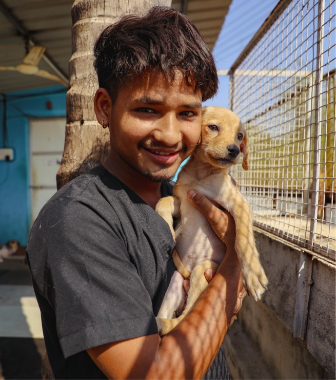 Alpha Angels Animal Trust
