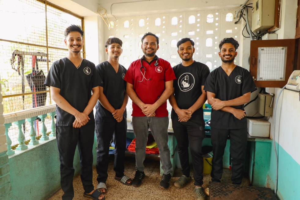 Veterinary and Medical Team

