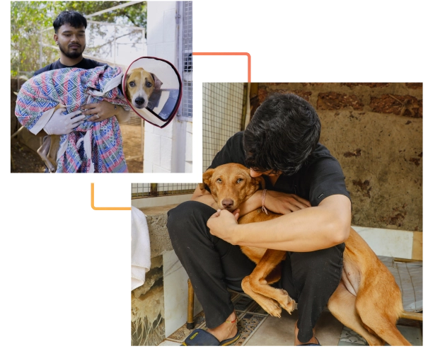 Alpha Angels Animal Trust
