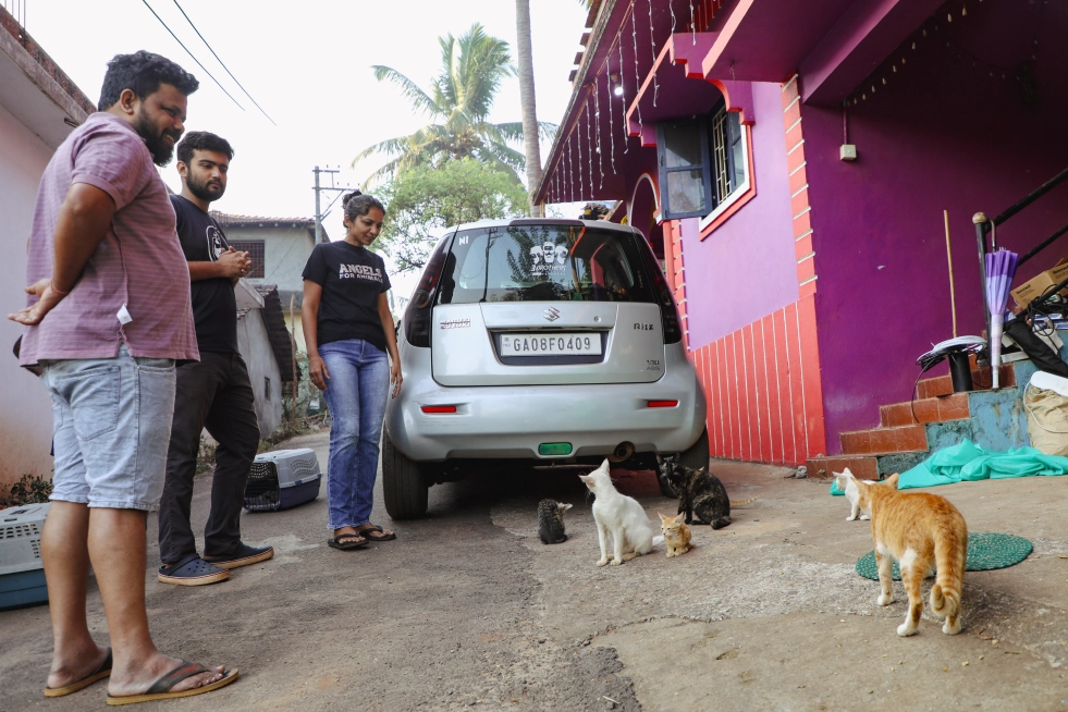 In the heart of rural Goa,