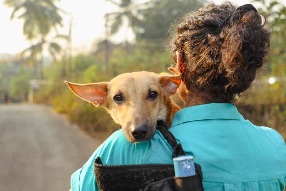 In the heart of rural Goa,