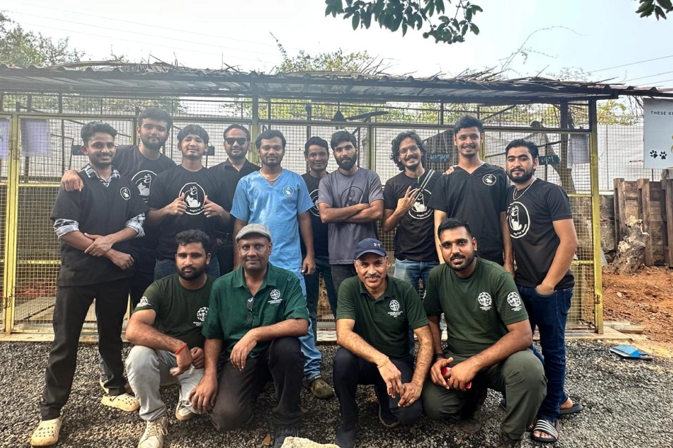 HSI + AFA team
