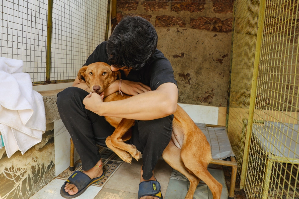 In the heart of rural Goa,