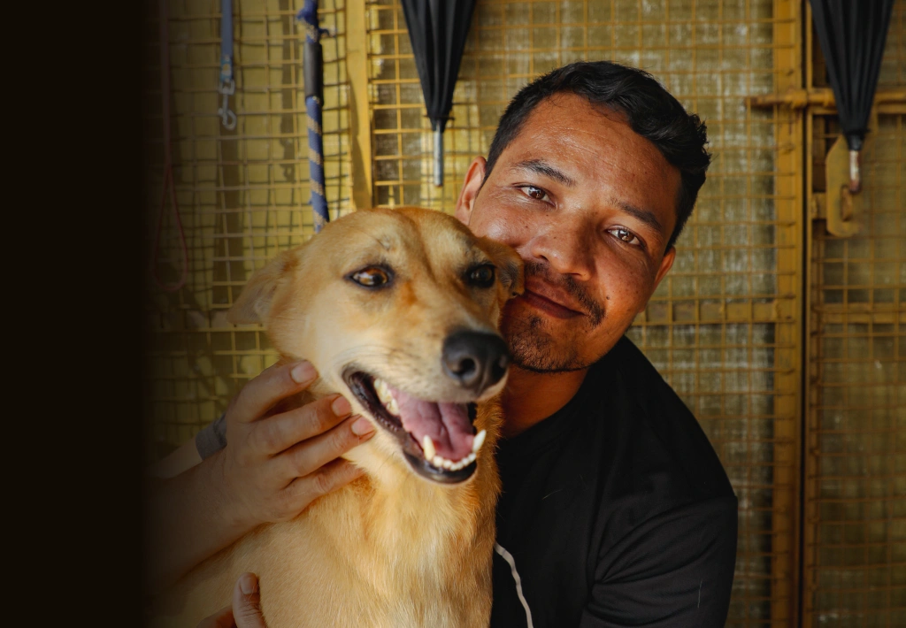 Alpha Angels Animal Trust
