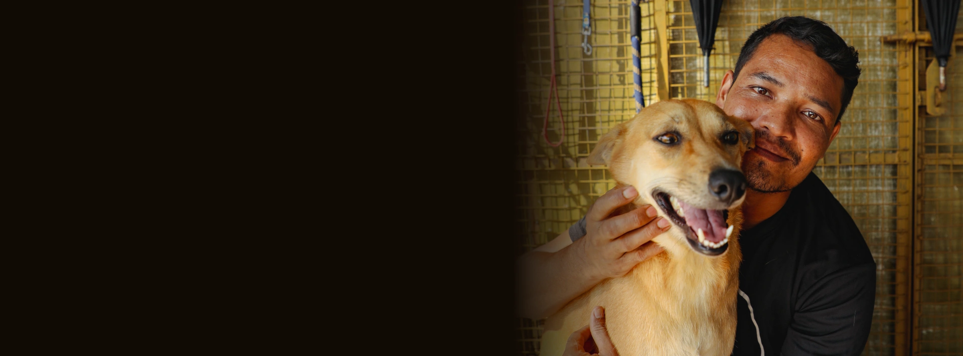 Alpha Angels Animal Trust