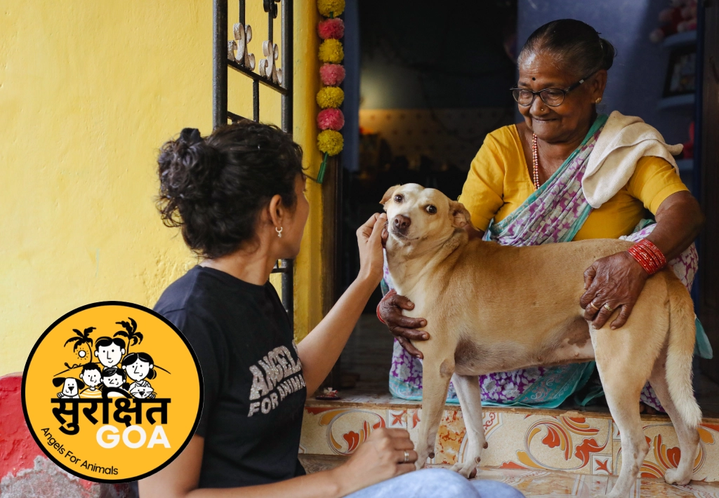 Alpha Angels Animal Trust
