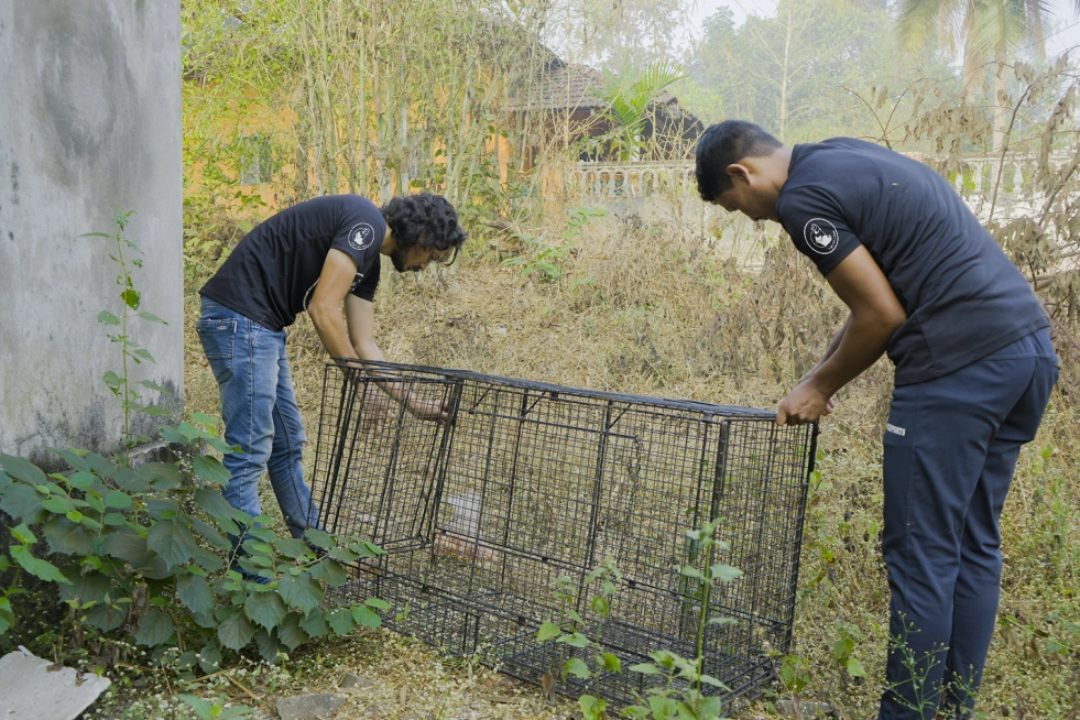 In the heart of rural Goa,