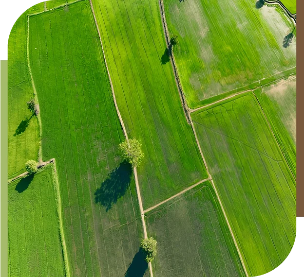 eco-friendly farming techniques