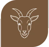 sustainability commitment