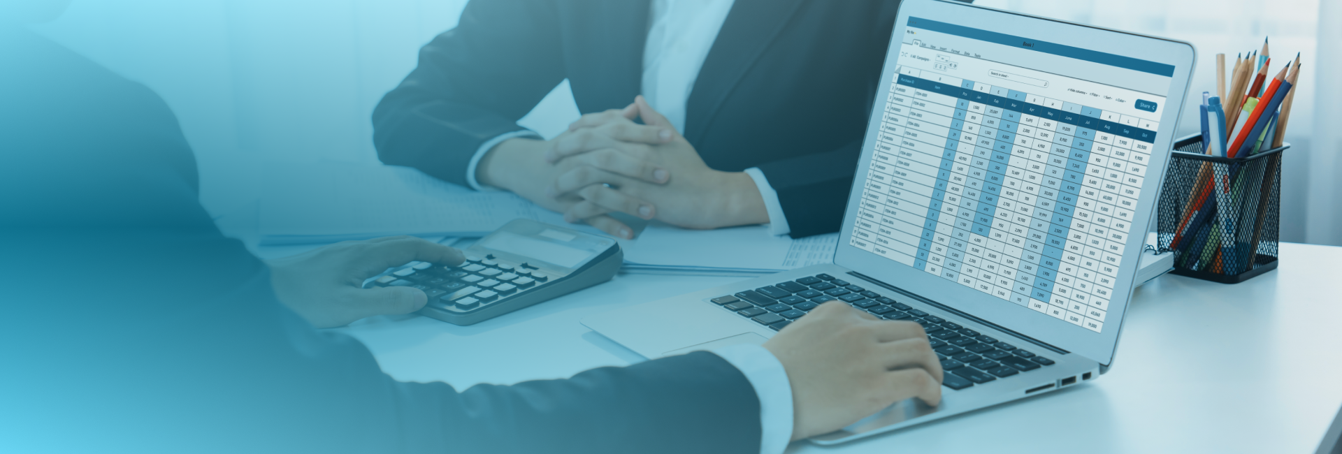 Immigration Tax Accountant