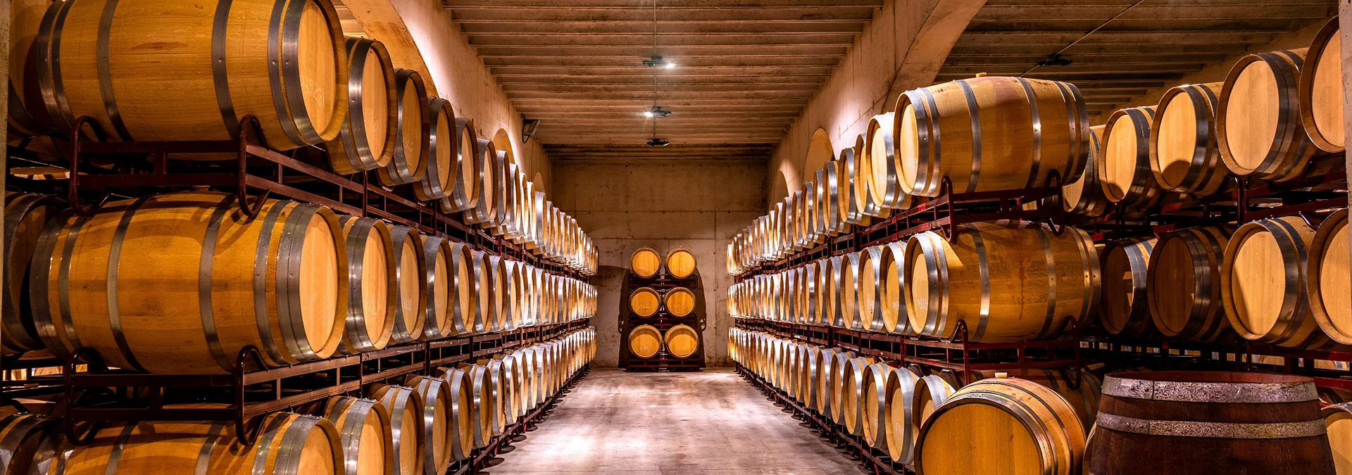 Wine Tours in Tuscany