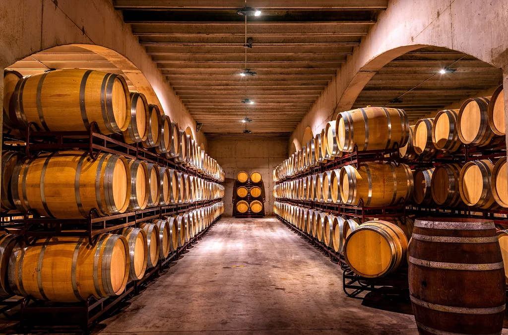 Wine Tours in Tuscany