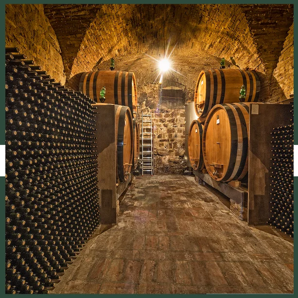Vineyard Visits