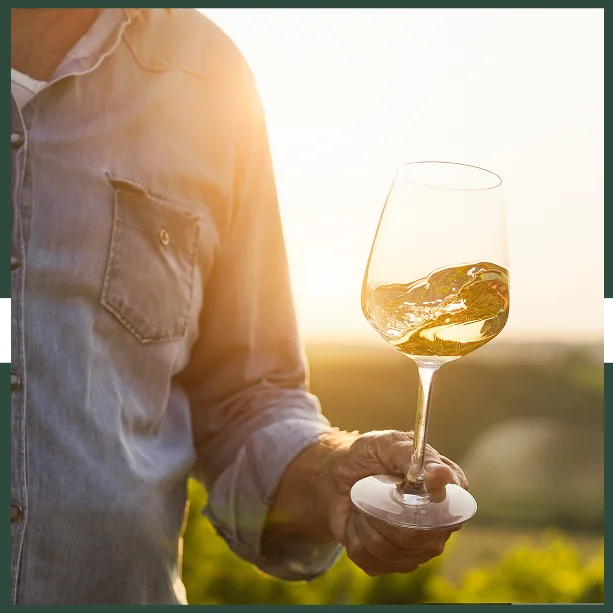 Family Wine Tours