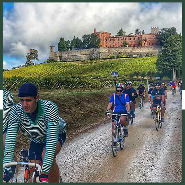  Guided Bike Tours