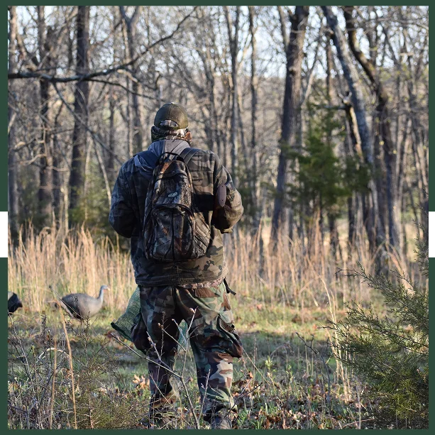 Guided Truffle Hunts