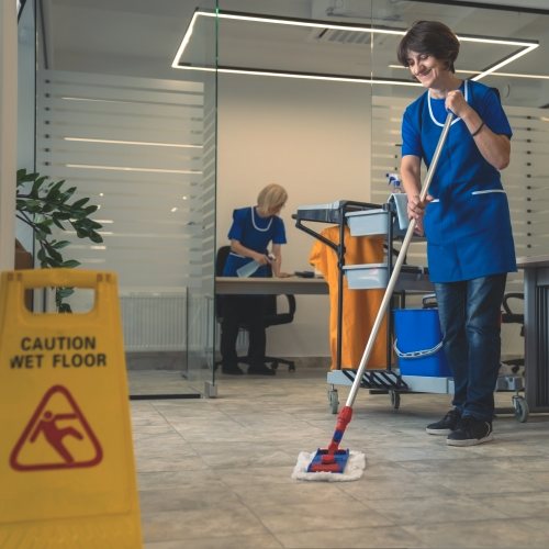 Waste Removal Moore
