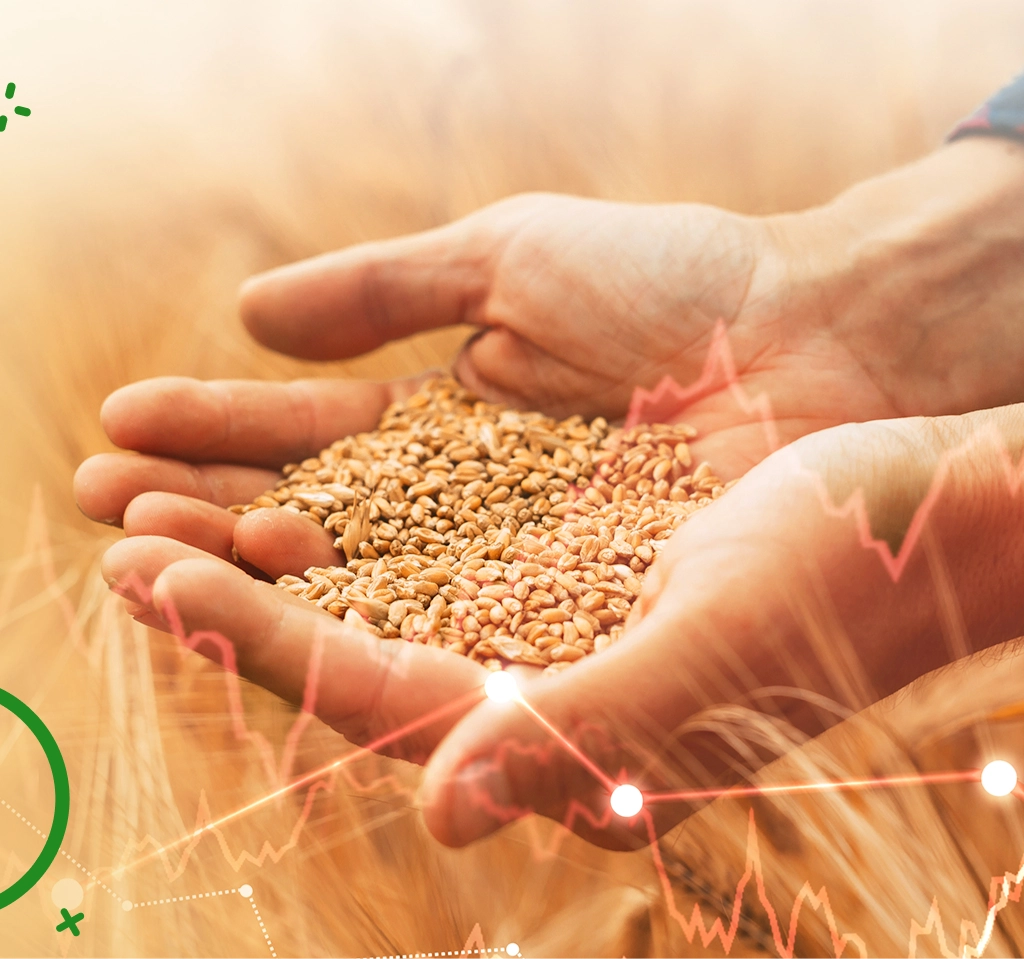 Agricultural Marketing Solutions