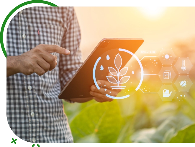 Agricultural Commodity Marketing