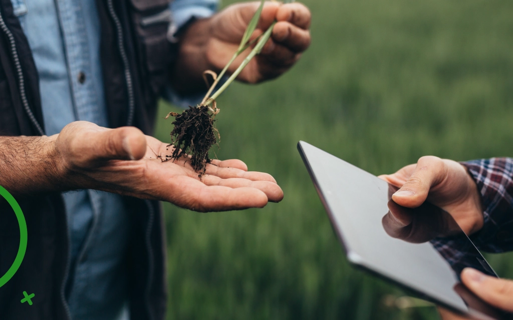 Agricultural Marketing Company