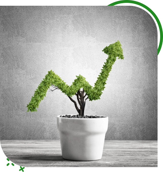 Agricultural Marketing Solutions