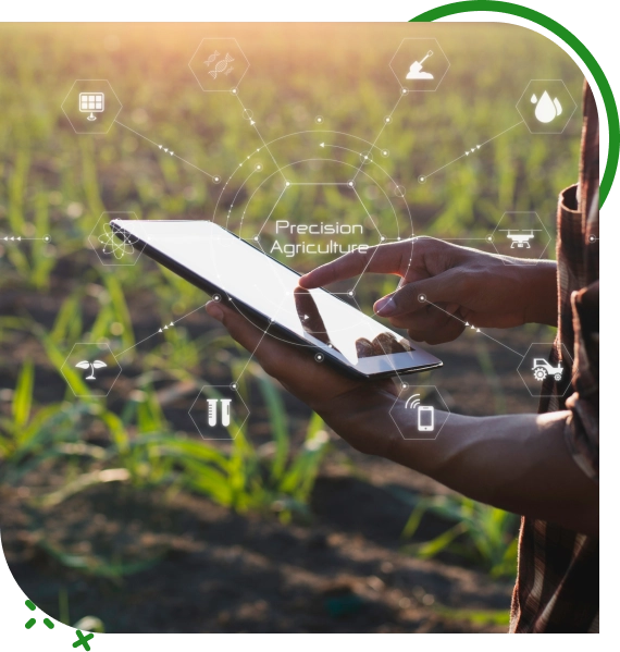 Risk Management For Farmers