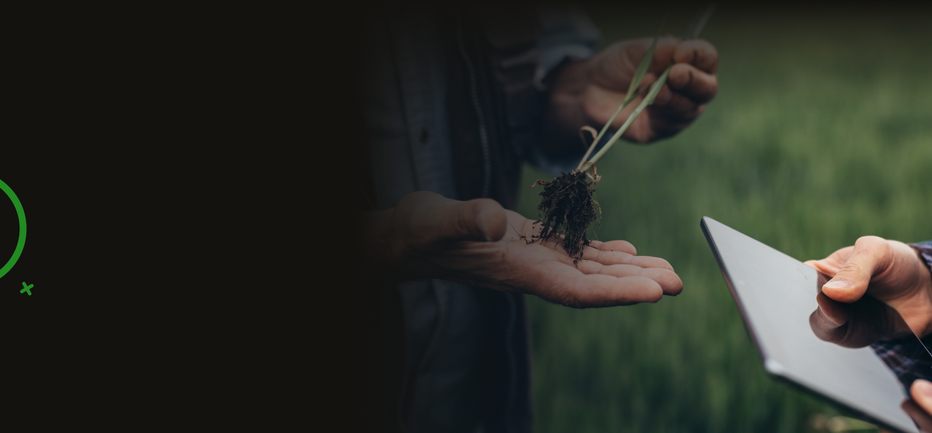 Agricultural Marketing Company