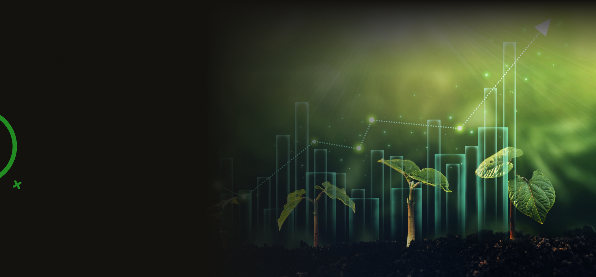 Agricultural Marketing Company