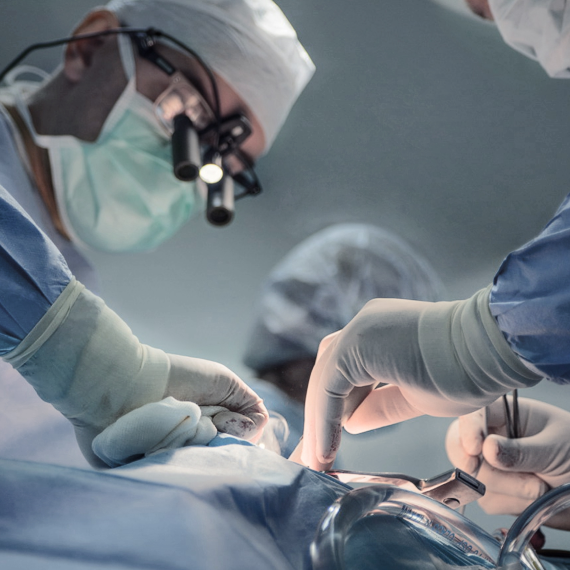 Local Moving Services