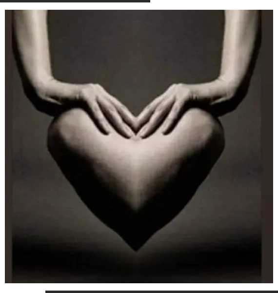 Art Photography Collection