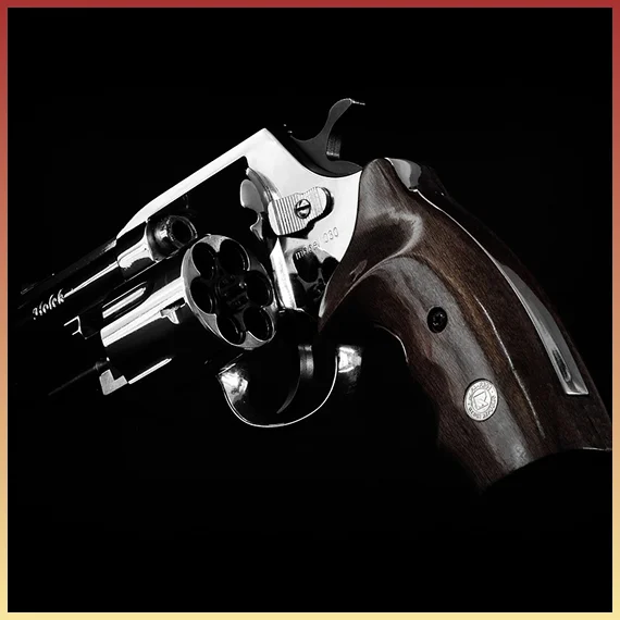 Gun Repair Shop