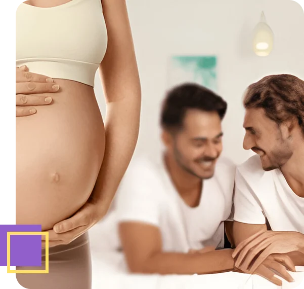 Affordable Surrogacy Programs​