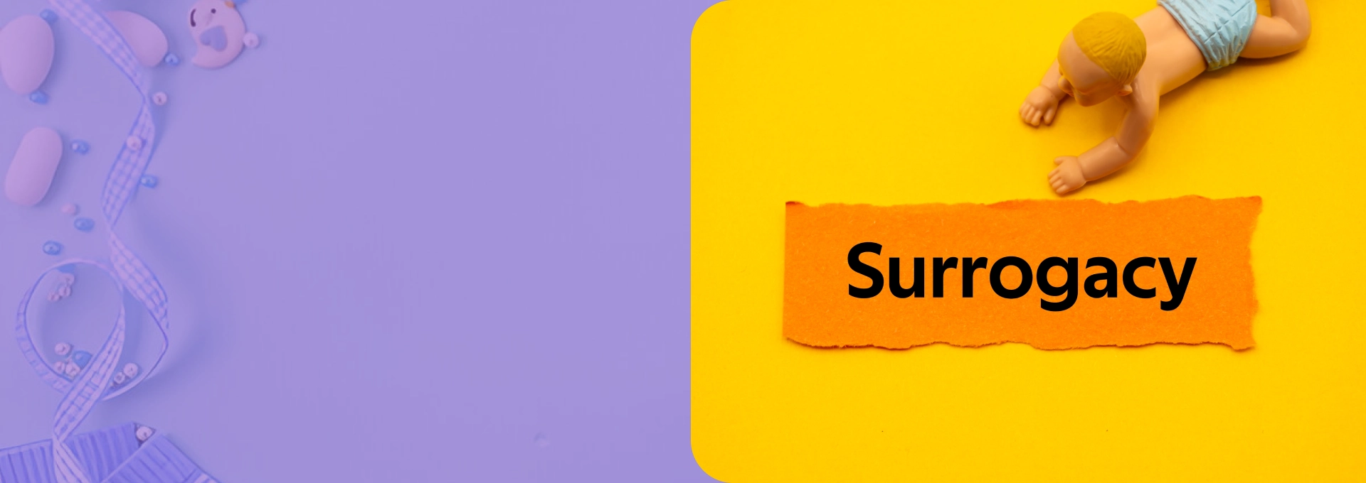 Surrogacy Services USA