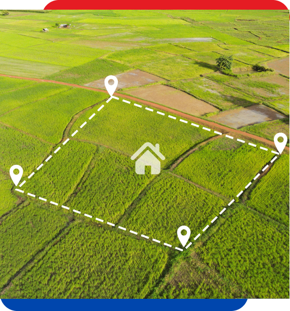 Expert Insights on Sustainable Living
