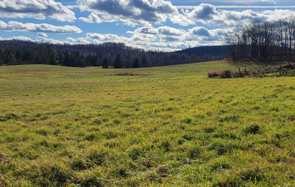 Vacant Land Sales