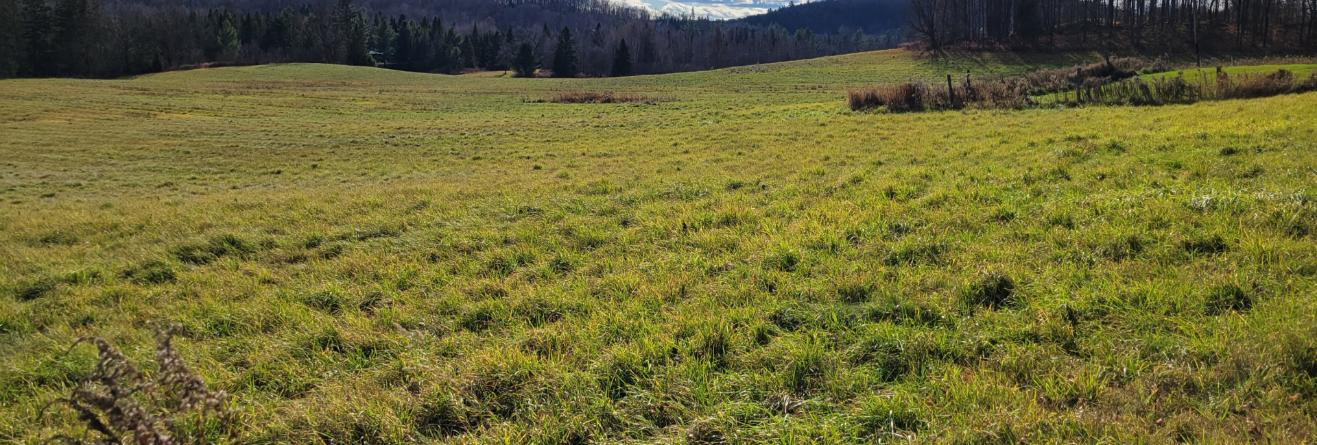 Vacant Land Sales