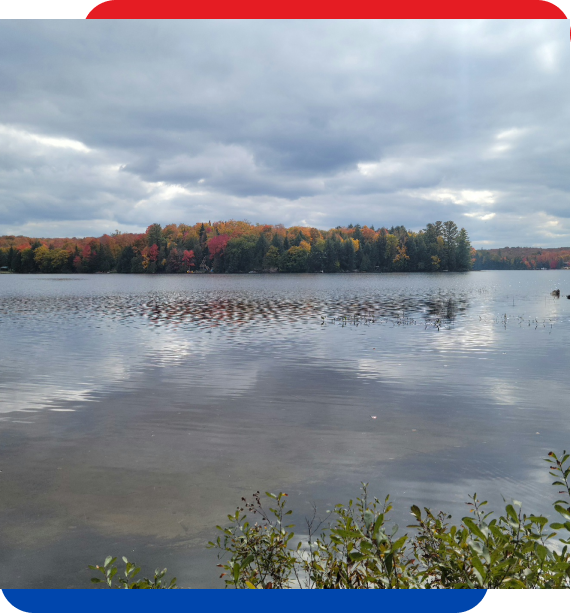 Cottages for Sale Lake of Bays