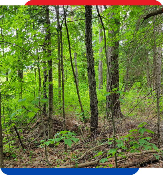 Cottages for Sale Huntsville