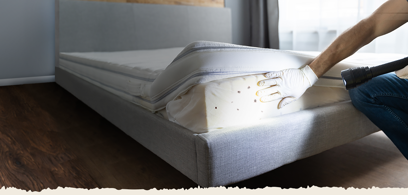 Bed Bug Heaters Dallas | Affordable Bed Bug Heater Rentals Near You