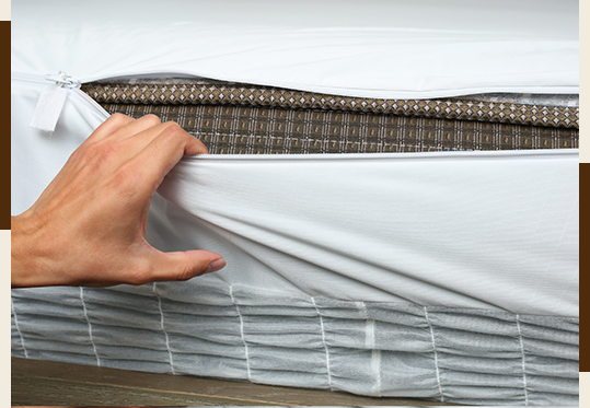 Bed Bug Heater Treatment Services in Coppell, TX