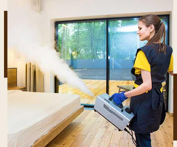 DIY Heat Treatment for Bed Bugs