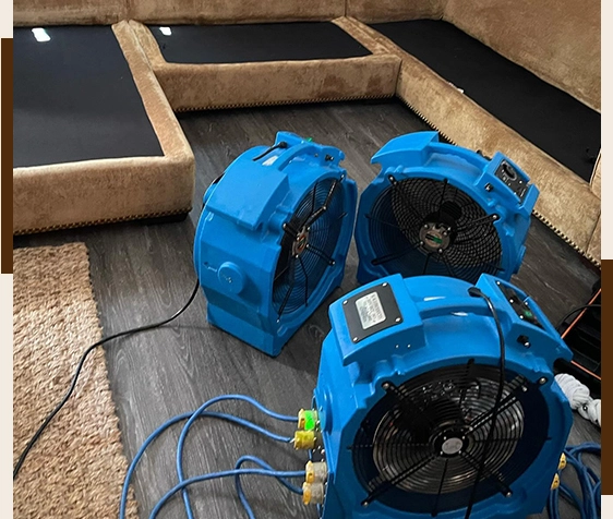 Easy, Transparent Pricing - No Hidden Fees