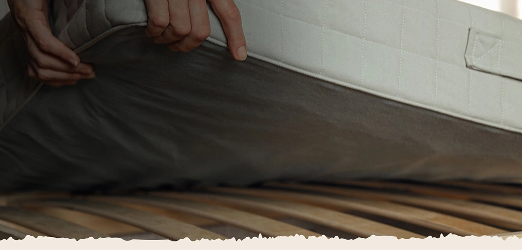 Contact Bed Bug Heaters Dallas
